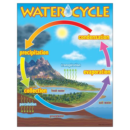 TREND ENTERPRISES The Water Cycle Learning Chart, 17in x 22in T38119